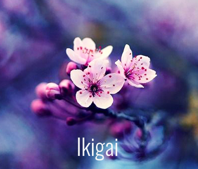 Ikigai