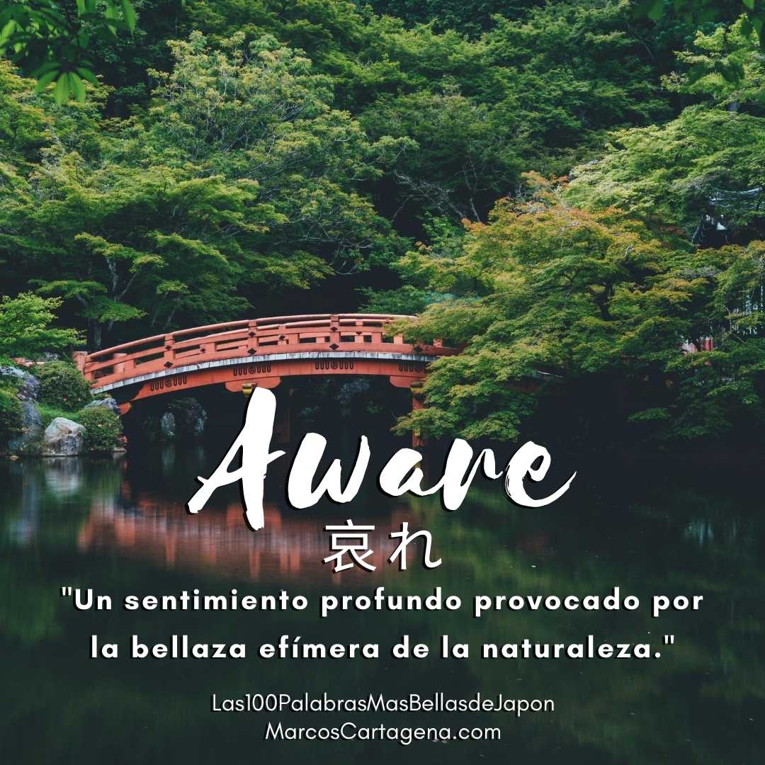 AWARE definição e significado