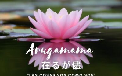 Arugamama: las cosas son como son