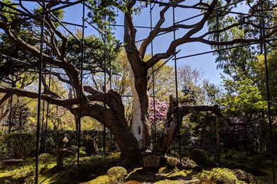 Foto del viaje a Jap&oacute;n